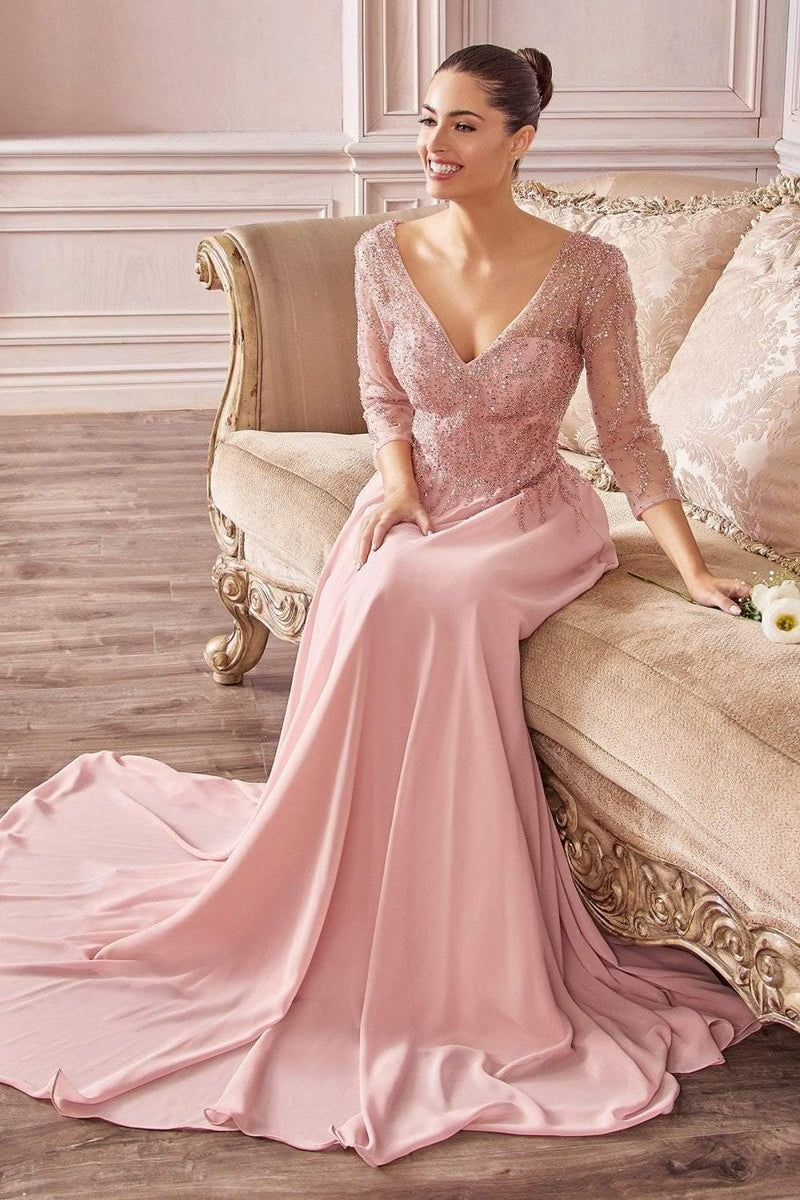 Blush Pink Ball Gown with Sleeves Pink Formal Dress Long